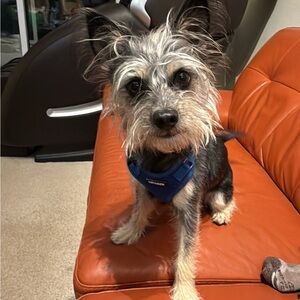 Meet your Posher, Belinda